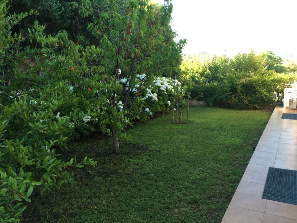 Casa Vacanza Ortensia San Teodoro  Zewnętrze zdjęcie